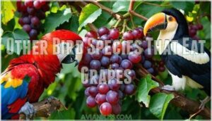 other bird species that eat grapes