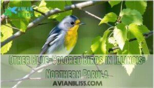 other blue-colored birds in illinois: northern parula