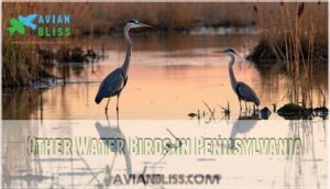 other water birds in pennsylvania