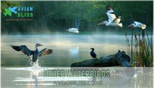 other waterbirds