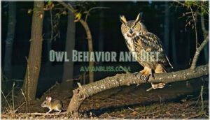 owl behavior and diet