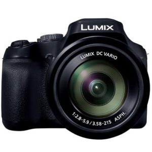 Panasonic LUMIX FZ80D Point and B0D8239188