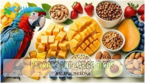 parrots and large birds