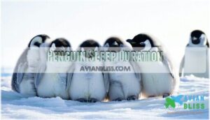 penguin sleep duration