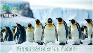 penguin species and weight