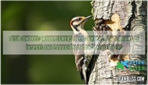 pest control: woodpeckers help control populations of insects and larvae that can damage trees