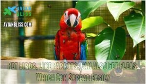 pet birds, like parrots, can also get fleas, which can spread easily
