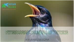 physiological function of yawning