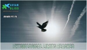 physiological limits reached