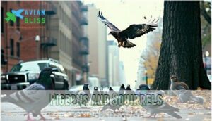 pigeons and squirrels