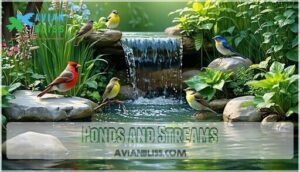 ponds and streams ponds and streams