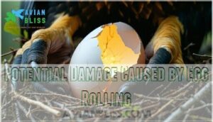 potential damage caused by egg rolling