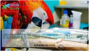 praziquantel for tapeworm infections
