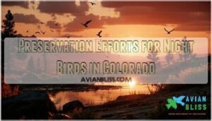 preservation efforts for night birds in colorado