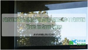 preventing bird window strikes
