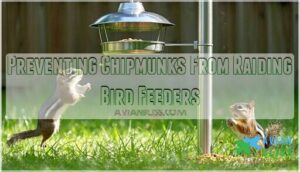 preventing chipmunks from raiding bird feeders