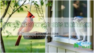 protecting backyard birds in nebraska