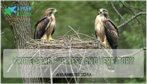 protecting the nest and territory