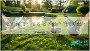 protecting your property from geese