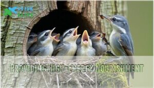 providing high-energy nourishment