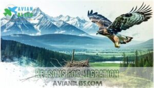 reasons for migration