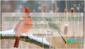 red birds in wisconsin