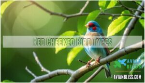 red cheeked bird types
