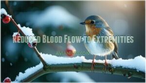 reduced blood flow to extremities