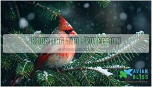 roosting and protection