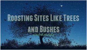 roosting sites like trees and bushes