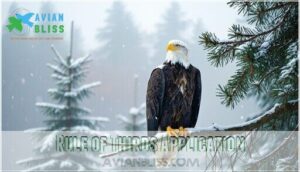 rule of thirds application