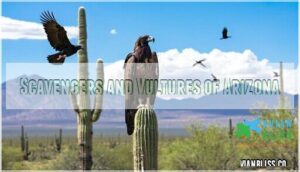 scavengers and vultures of arizona