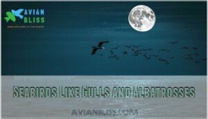 seabirds like gulls and albatrosses