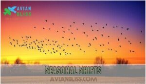 seasonal shifts