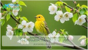 seasonal yellow birds