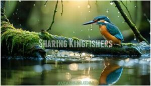 sharing kingfishers