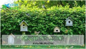 shelter and nesting