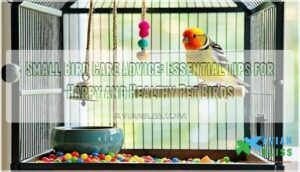small bird care advice