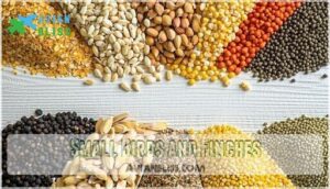 small birds and finches