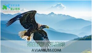 soaring abilities
