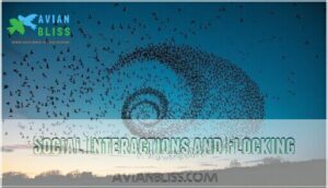 social interactions and flocking social interactions and flocking
