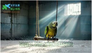 social isolation effects