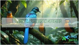 south american species