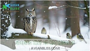 species that do not migrate species that do not migrate