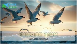 species that migrate species that migrate