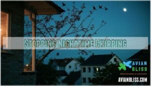 stopping nighttime chirping stopping nighttime chirping