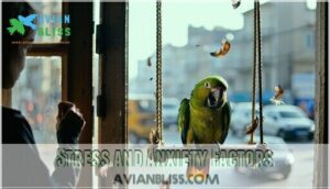 stress and anxiety factors