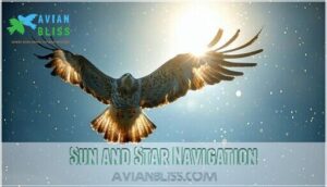 sun and star navigation