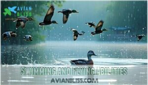 swimming and flying abilities