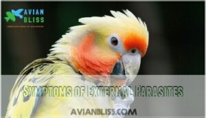 symptoms of external parasites